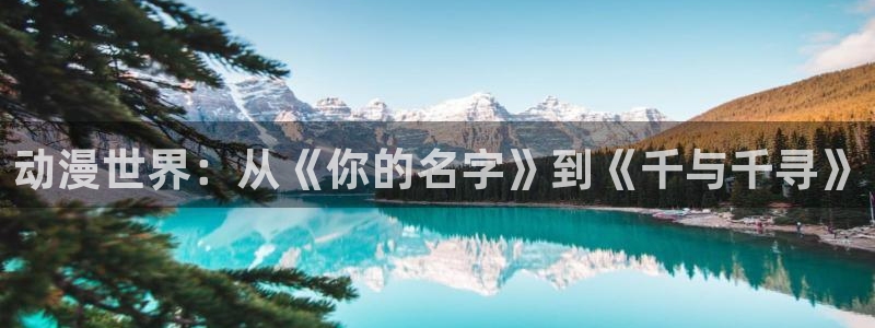 .51动漫：动漫世界：从《你的名字》到《千与千寻》