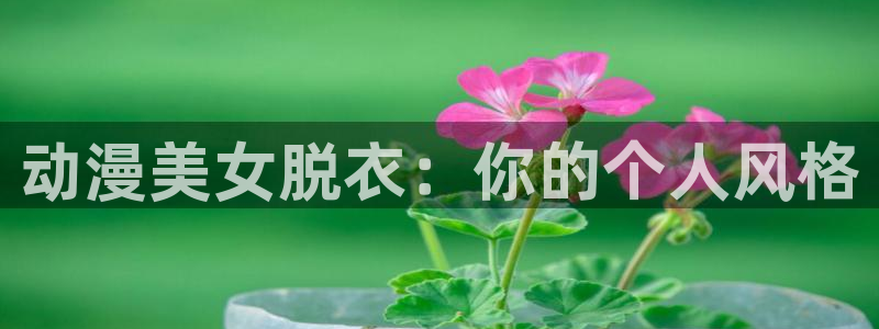 51动漫免费观看网站：动漫美女脱衣：你的个人风格